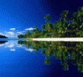 /album/fenykepgaleria/a506680-gif/